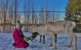 Beautiful Rural Experience With Reindeer
